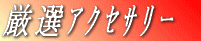 �A�N�Z�T���[ 